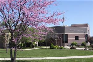 school school